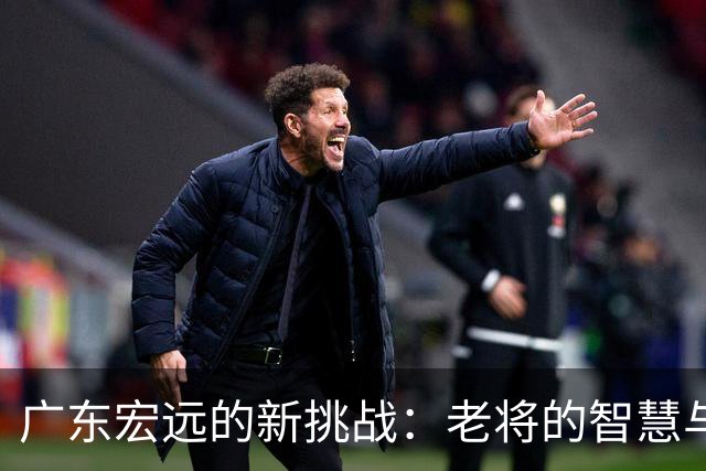 广东宏远的新挑战：老将的智慧与年轻人的追求